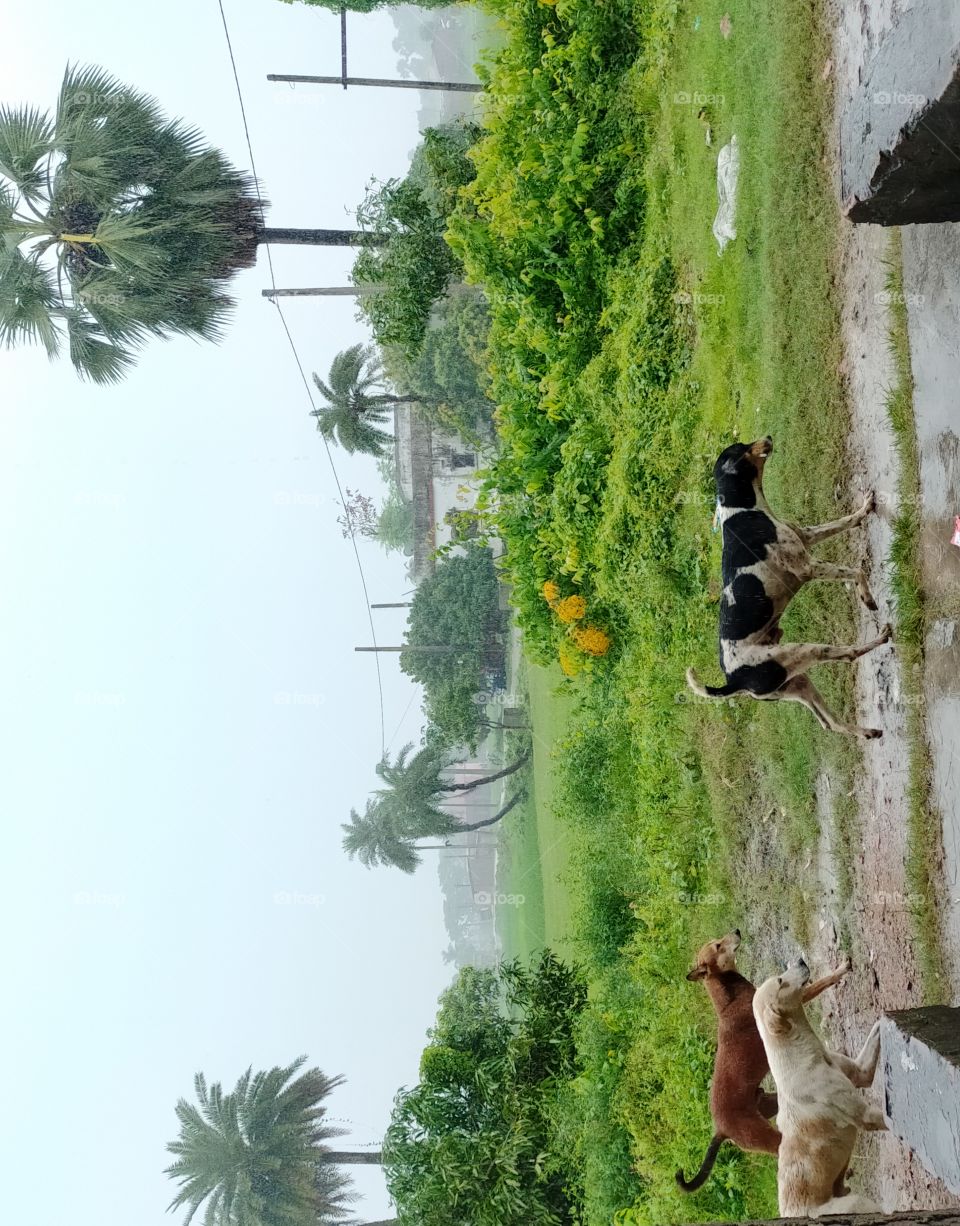 flora with fauna real beauty.