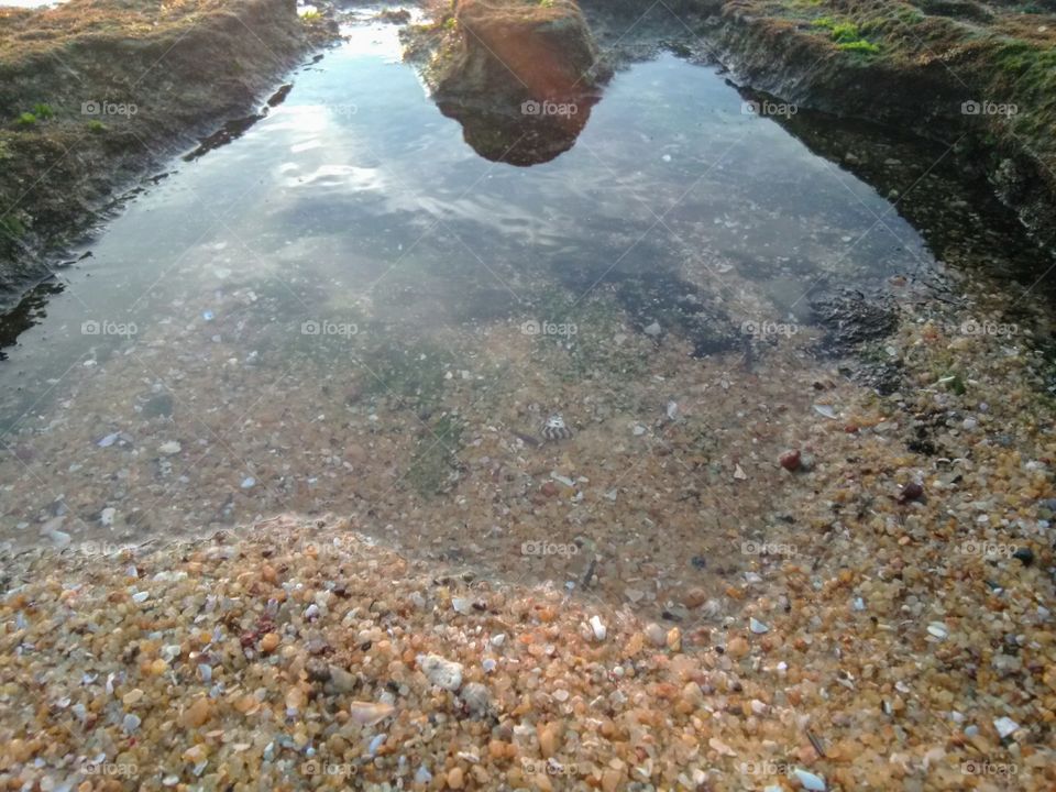 Beach side water scene