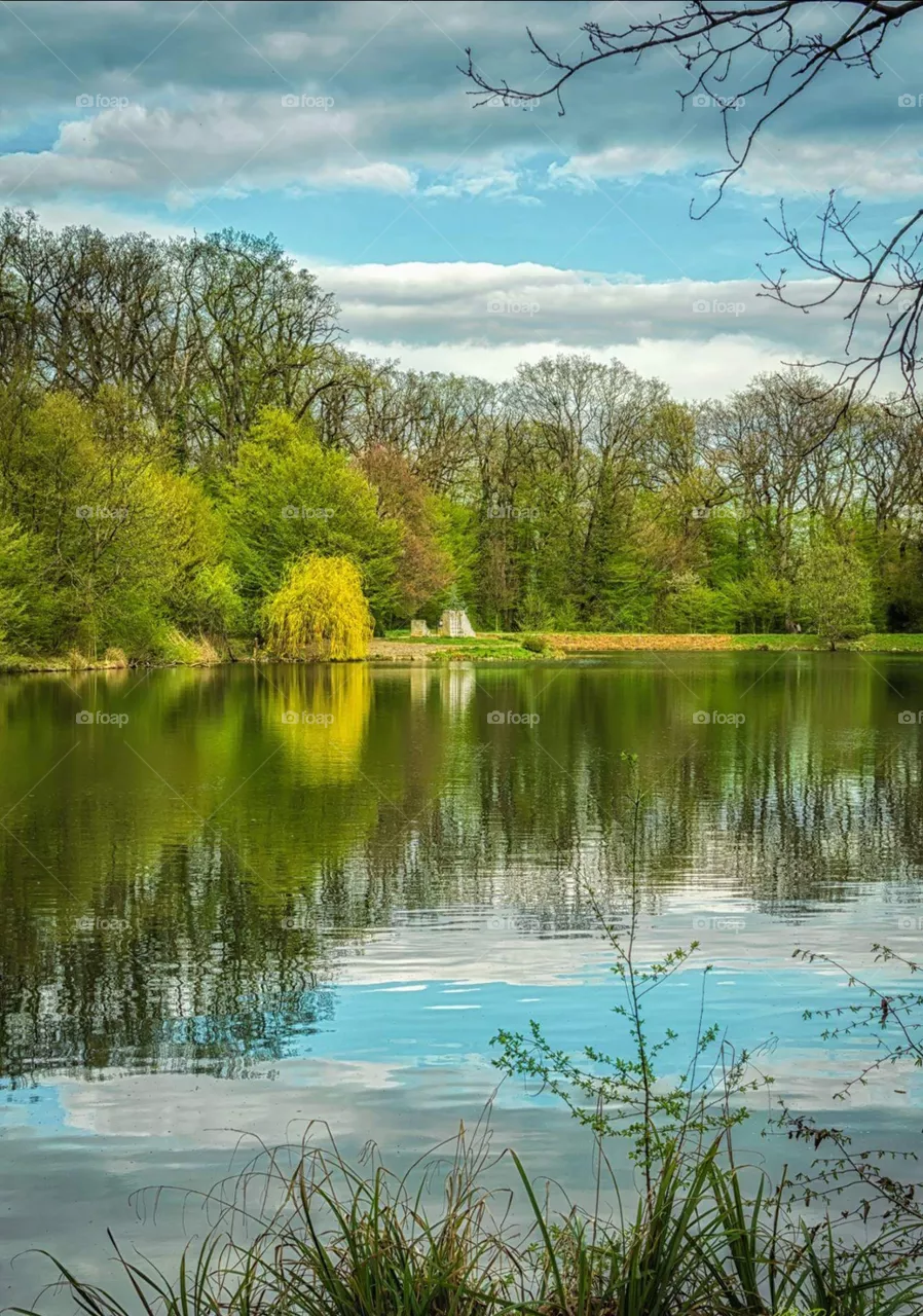 nature