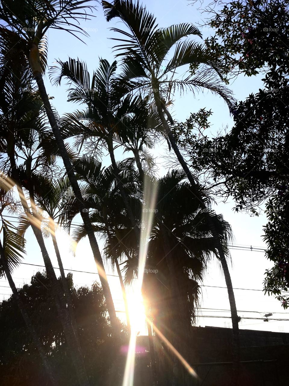 🌄🇺🇸 An extremely beautiful dawn in Jundiaí, interior of Brazil. Cheer the nature! / 🇧🇷 Um amanhecer extremamente bonito em Jundiaí, interior do Brasil. Viva a natureza! 