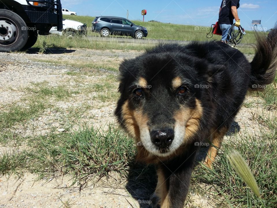 Waiting By the Highway