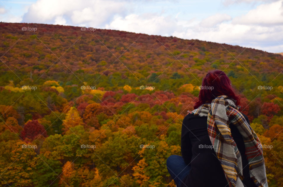 Forest in all seasons.  Catskills in New York in Autumn