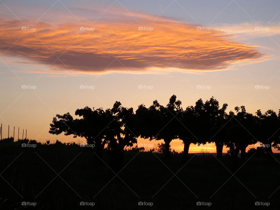 Wolke, Abendstimmung, Sonnenuntergang, Provence, Bäumen,