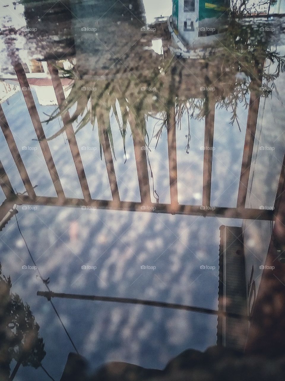 The reflection of the water