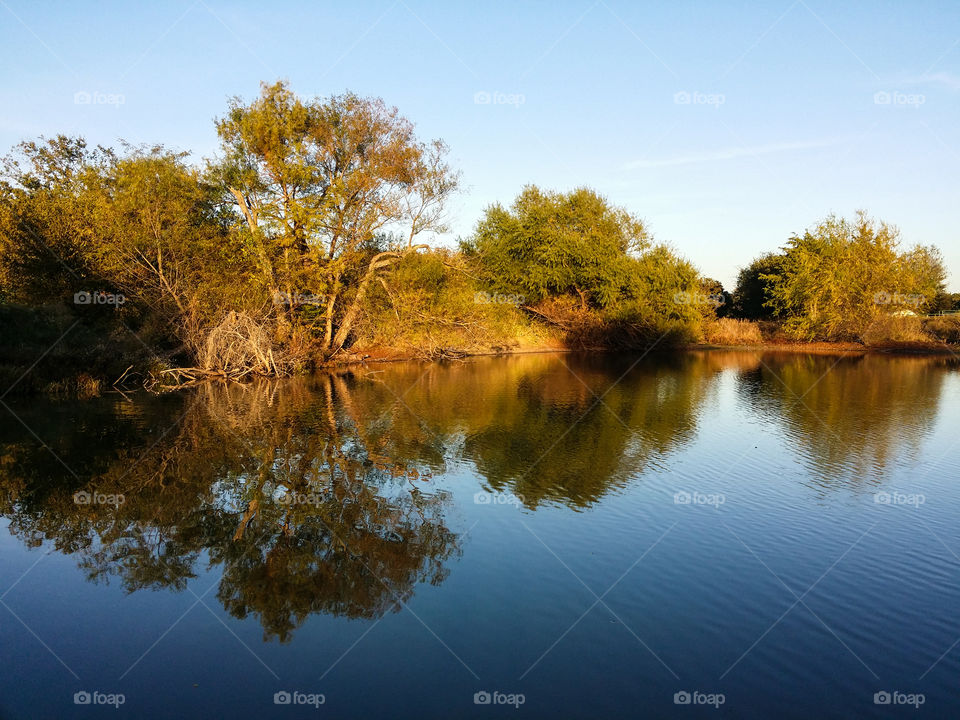 Trees and sky reflected on lake