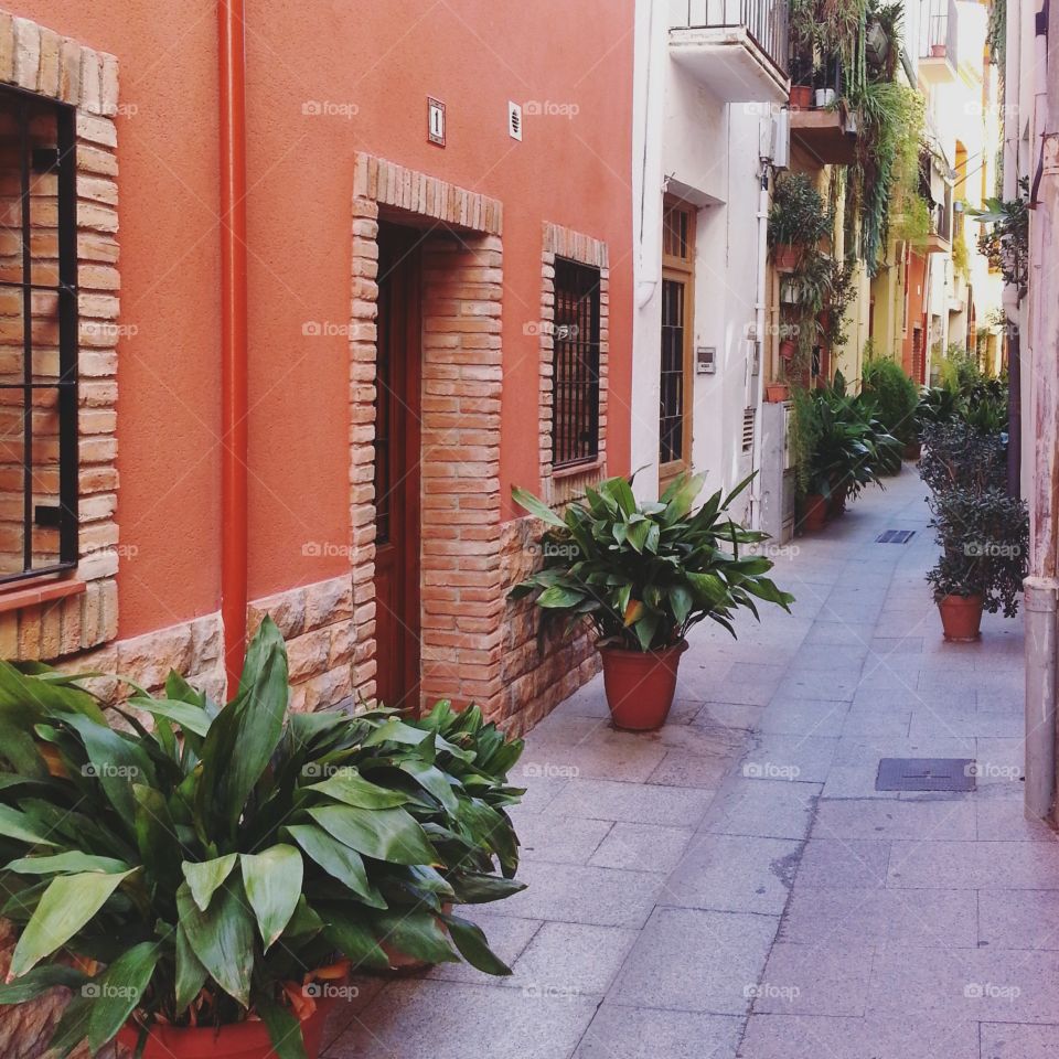 Floral street in the old town of Cambrills