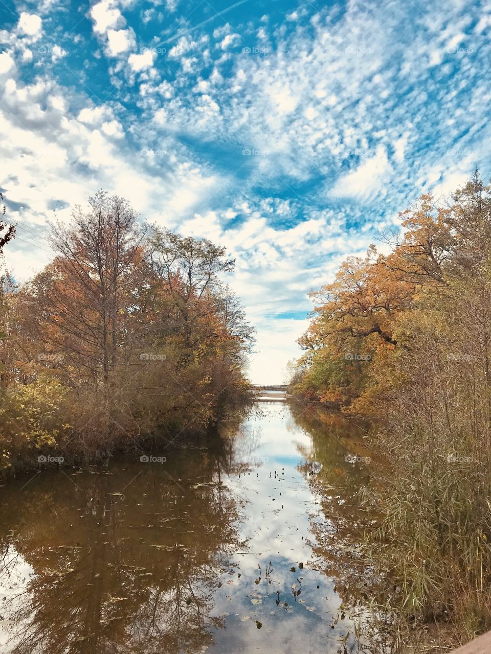 Autumn sky