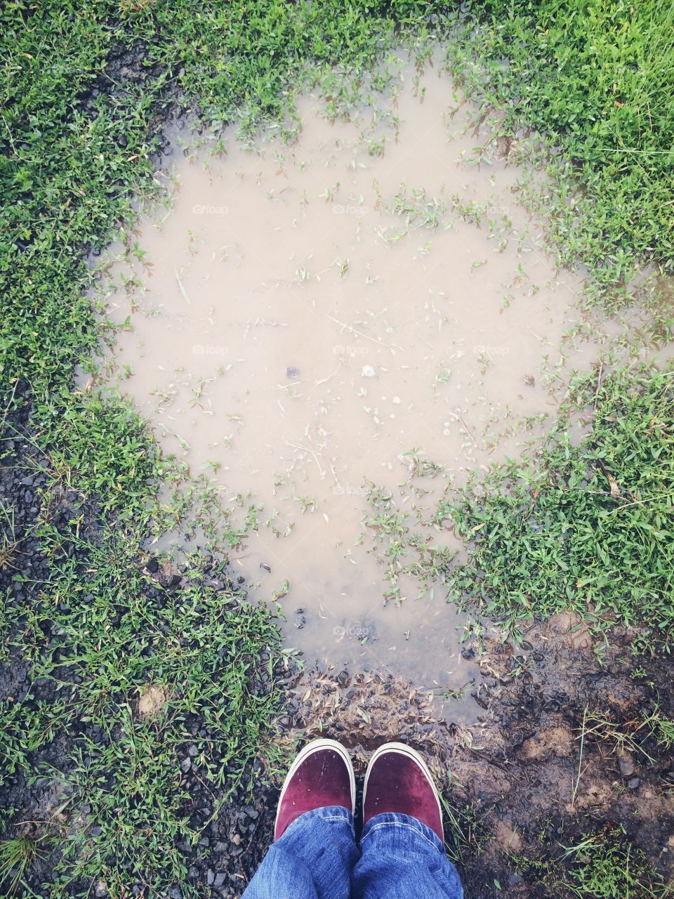 Spring Puddle