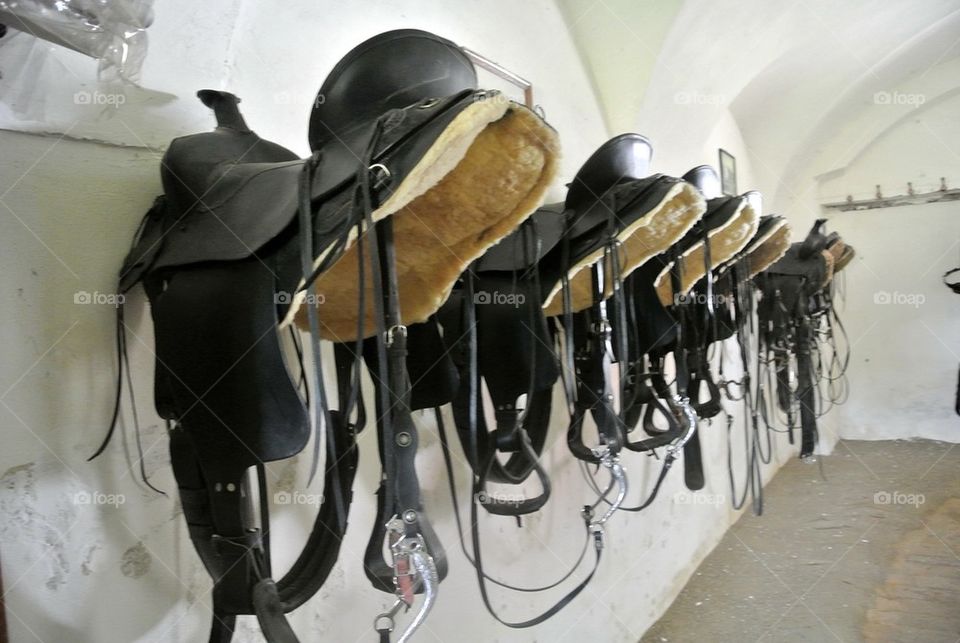 wall horse stable harness by tediiliescu