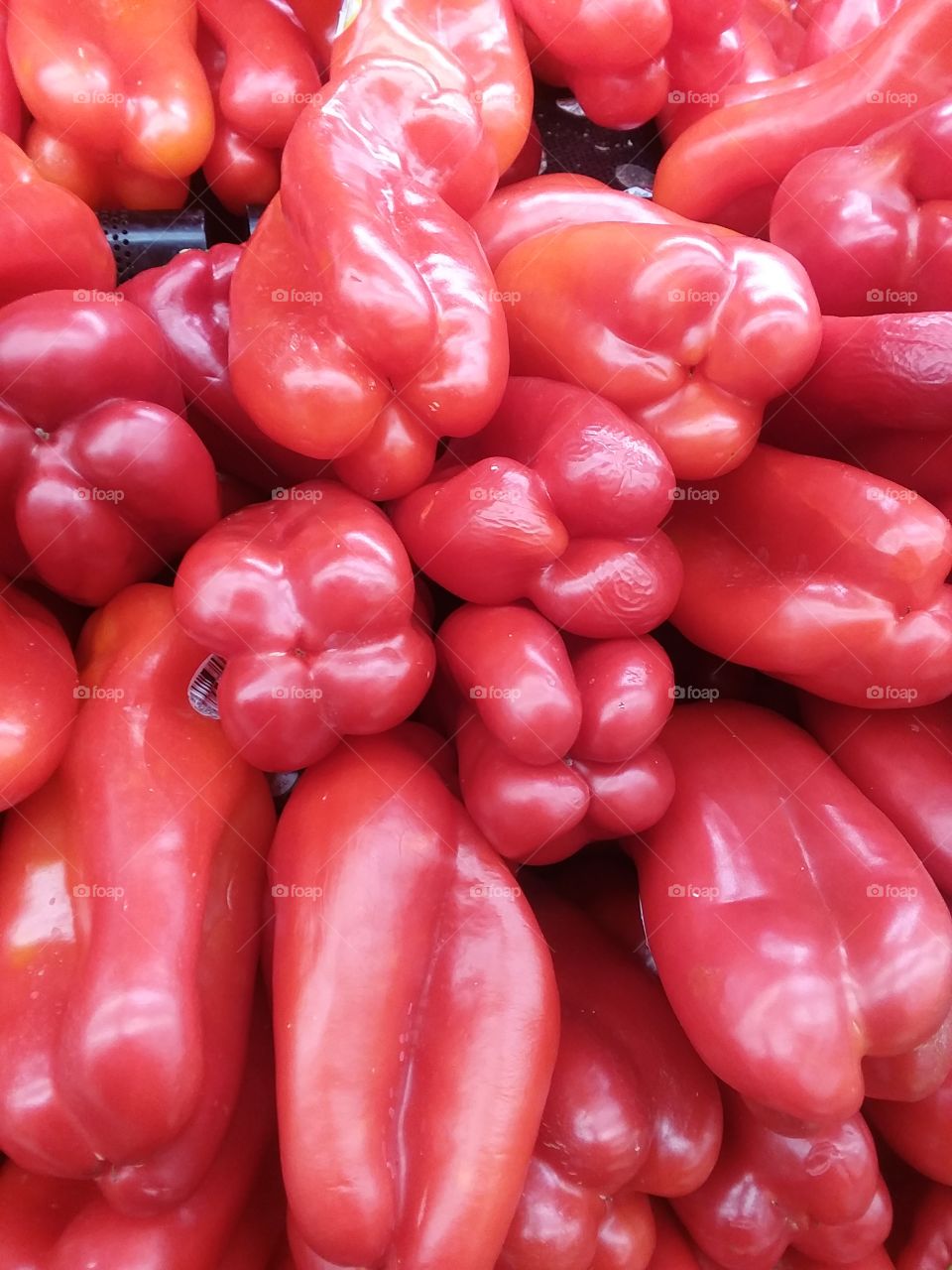 Red Pepper