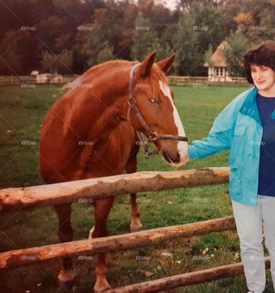 the joy of feeding the horse