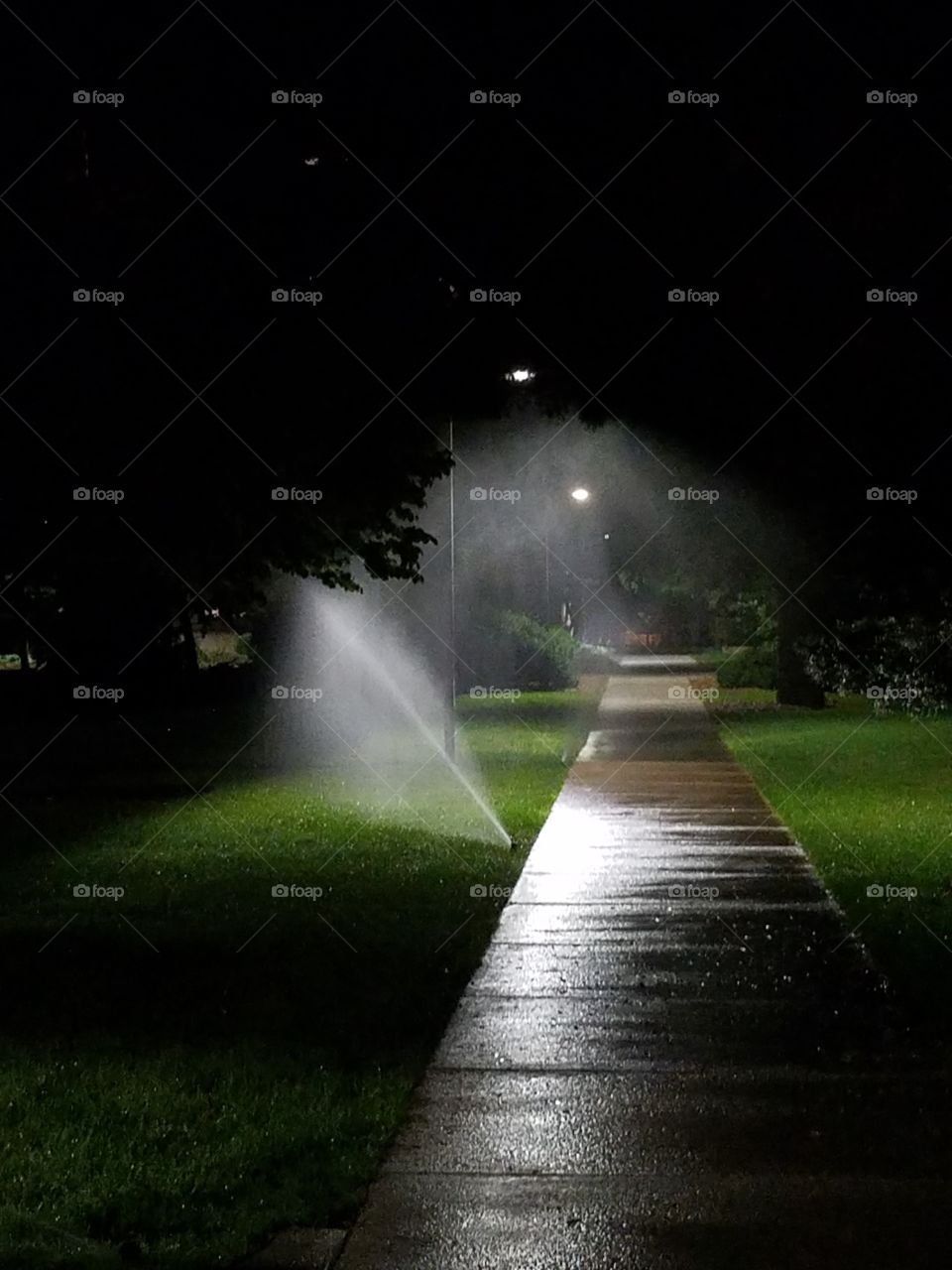 sprinklers on campus at night