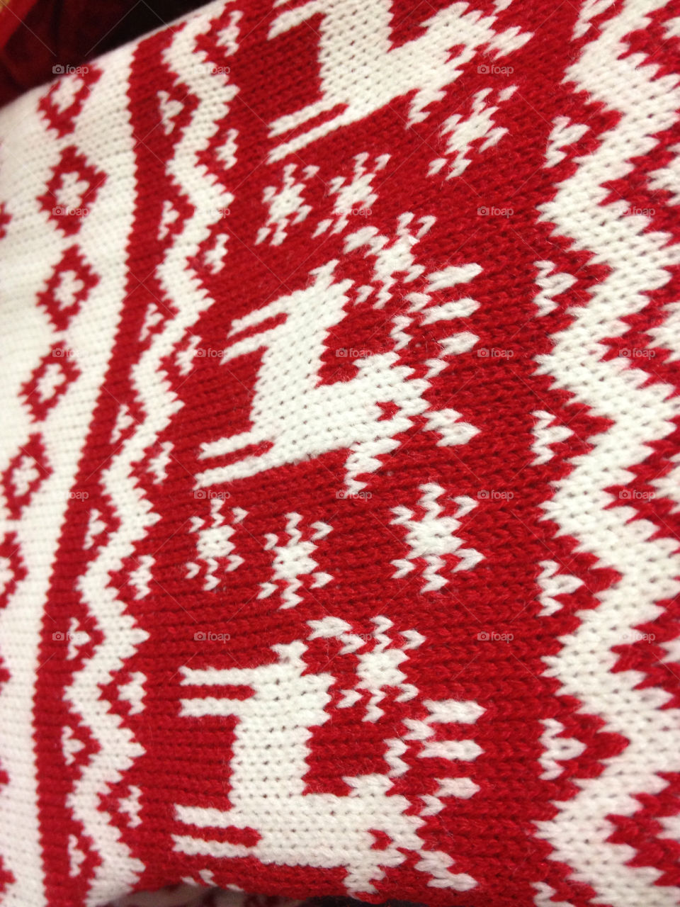 snow winter red white by ShutterBug_NikonGirl