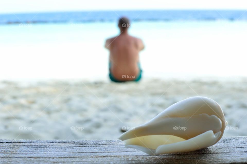 white seashell and blurred man in the background