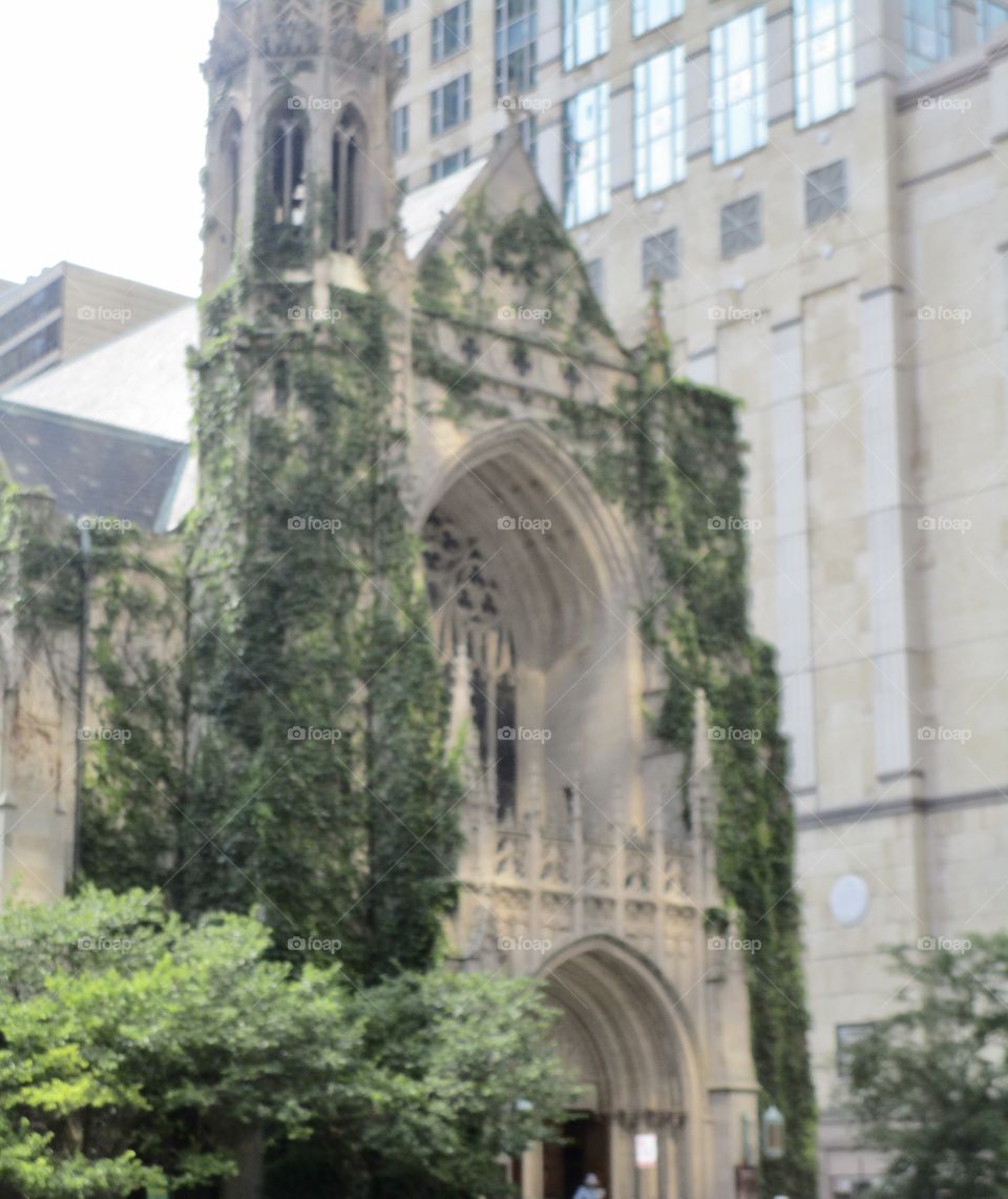 An old moss-covered church with city buildings in the background and some bushes in the foreground 