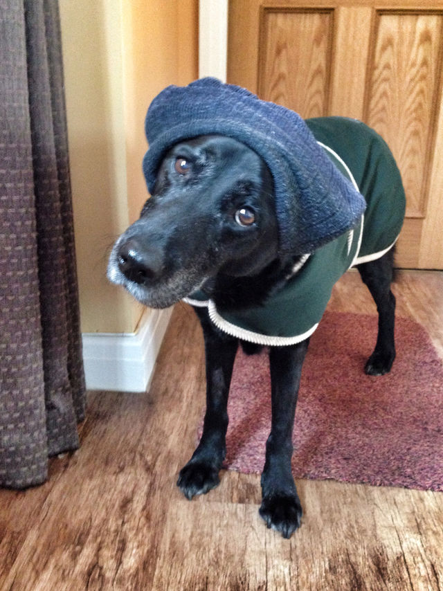 Chilly Weather