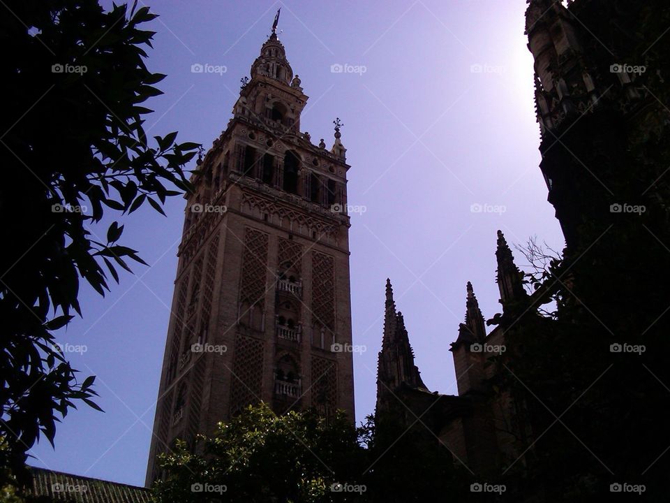 Seville Cathedral Tower