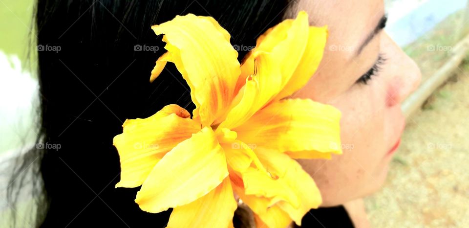 beleza natural brasileira