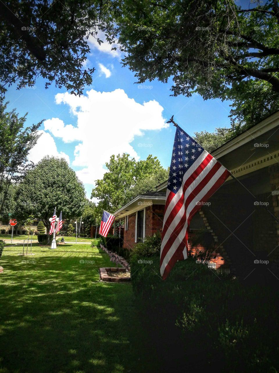 Suburban Flag Display