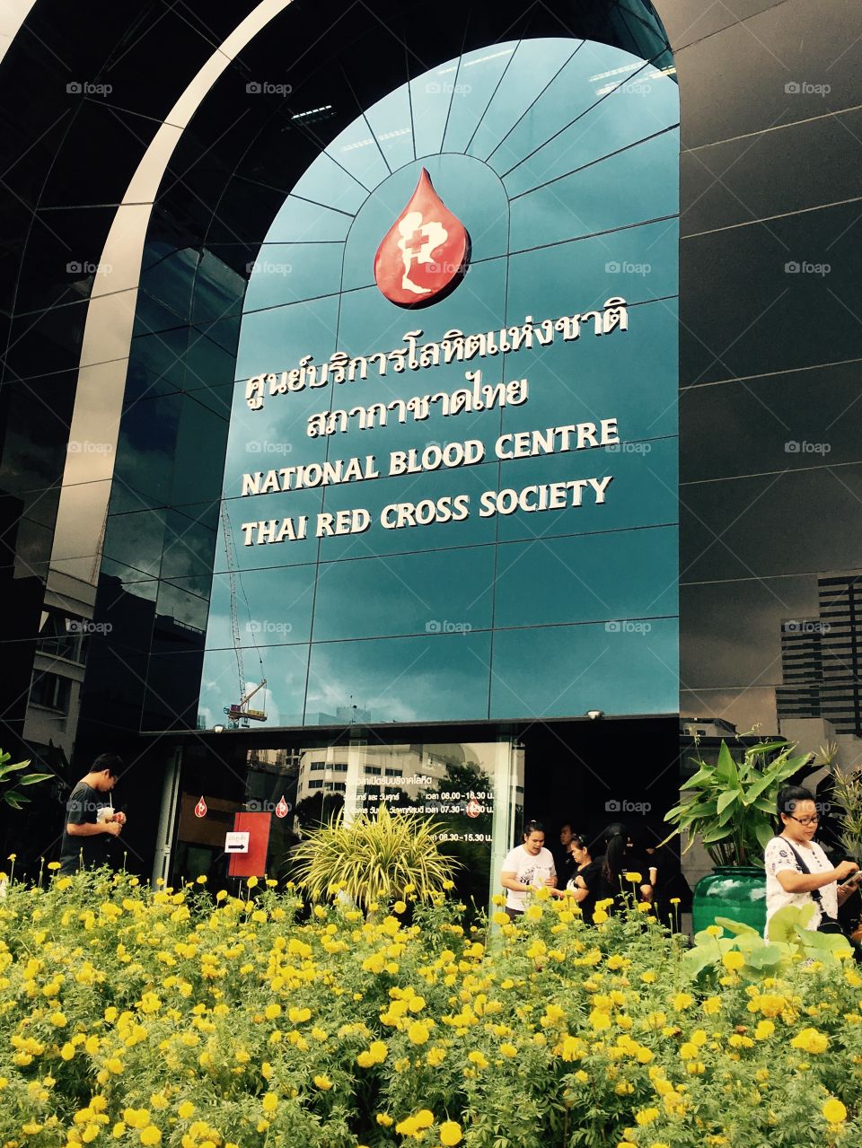 THAI Blood center # Red Cross 
