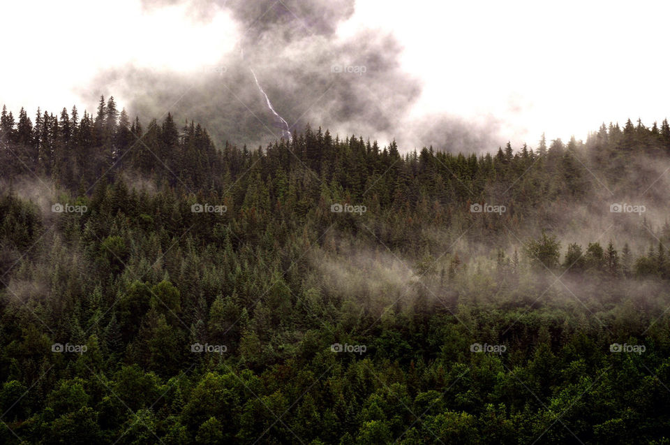 alaska wilderness group1 by refocusphoto