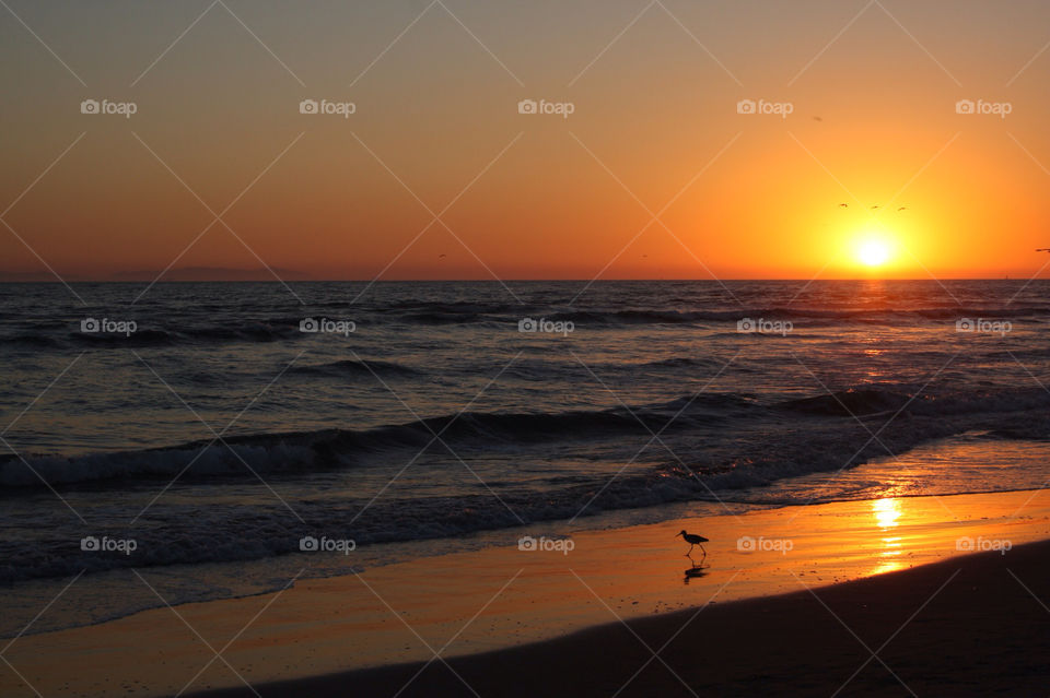 huntington beach california beach ocean sunset by pamelaevelyn