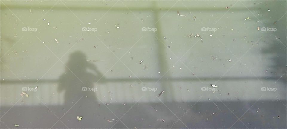 This theatrical shadow was cast onto the “Danube” river by the afternoon midsummer sun from a bridge in “Kelheim”, Bavaria. 2024. Hypnotic Productions