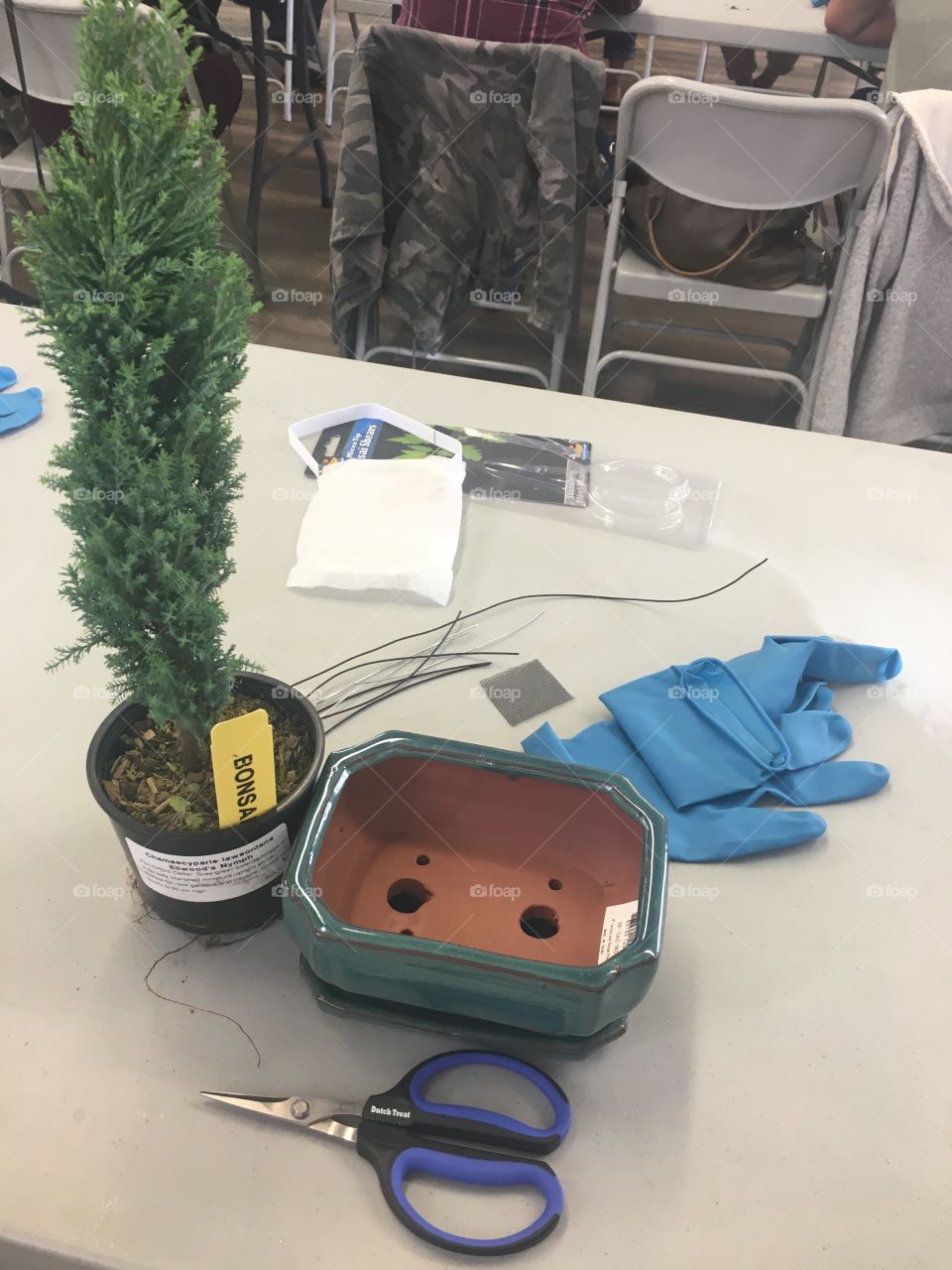 Ready to learn how to bonsai 