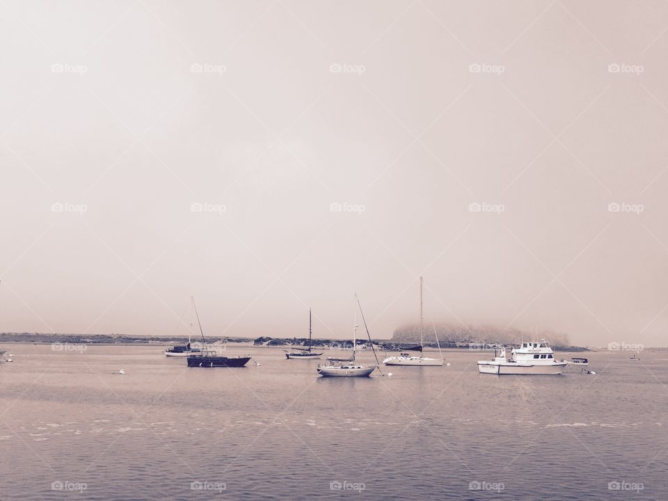 Boats in the fog