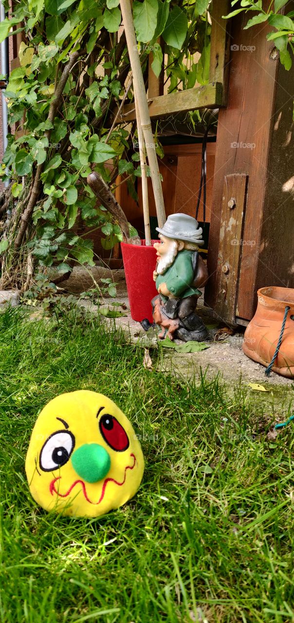 A dogs toy and the dwarf in the garden left alone