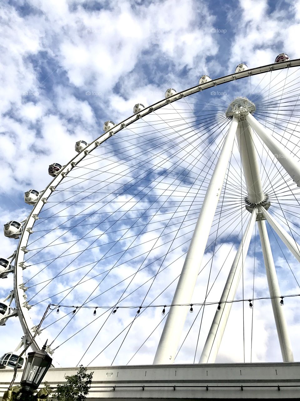 Giant Ferris Wheels