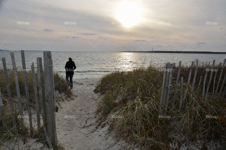 Walking Cape Cod