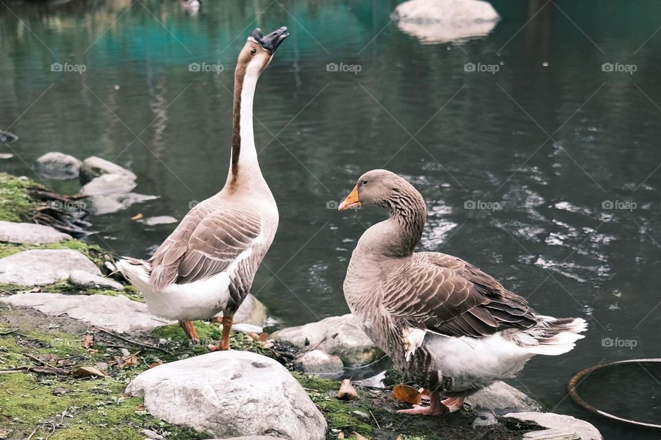 Life and art in visual impressions