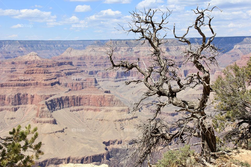 Grand Canyon 