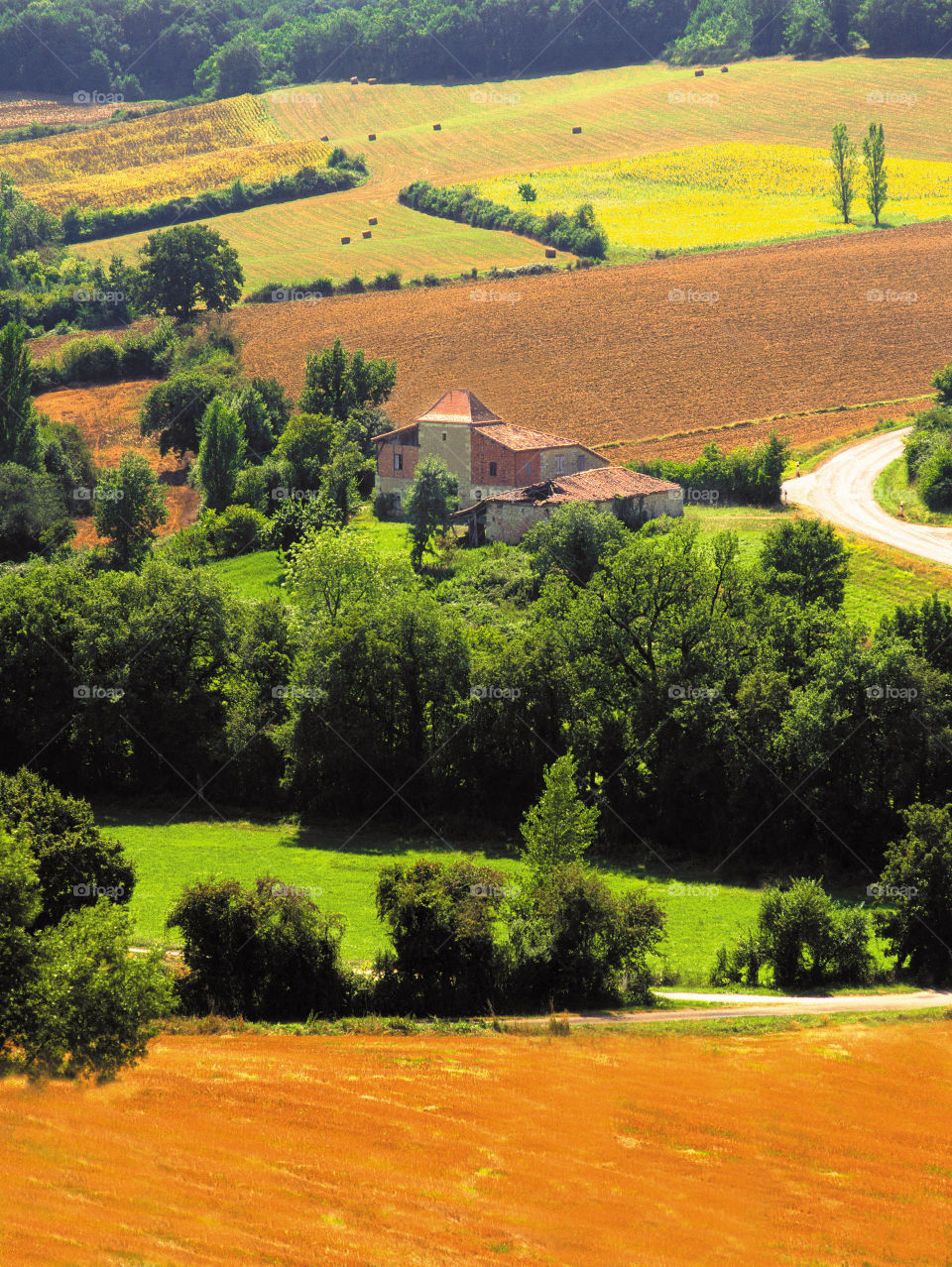 Gascony