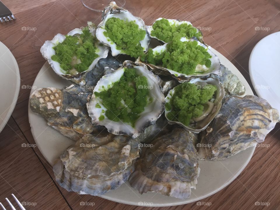 Oysters 