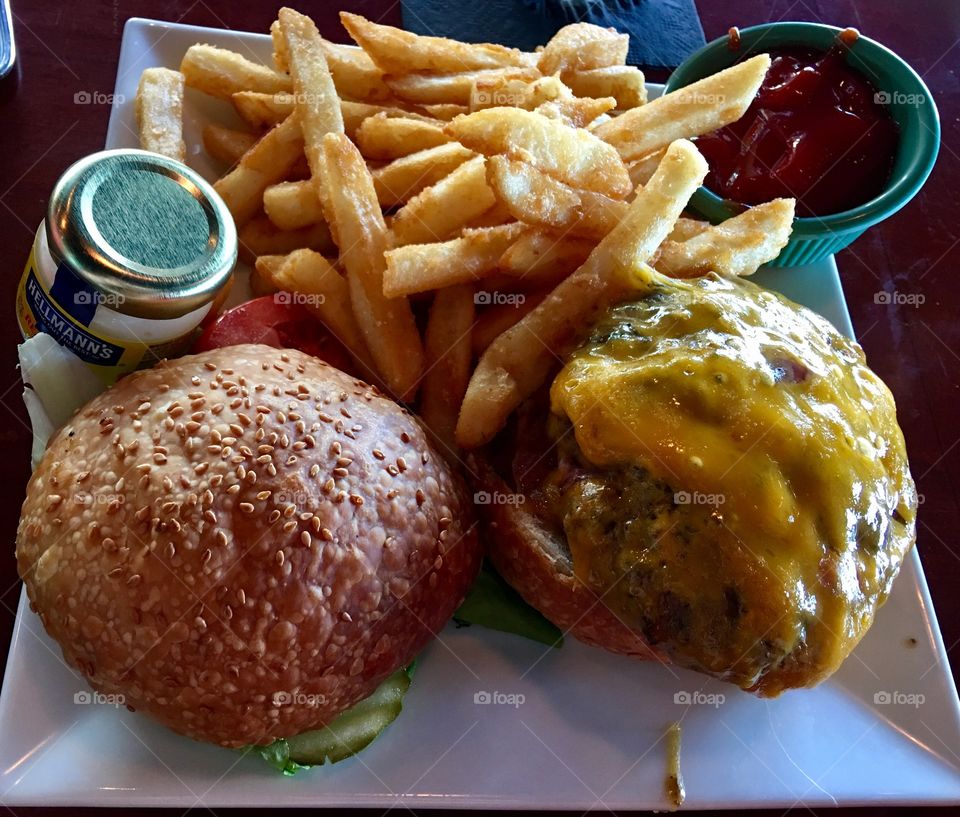 Cheesy Burger and Fries