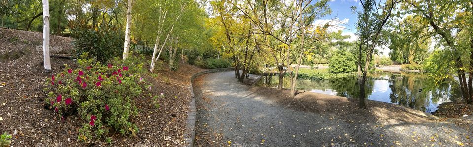 Beautiful walks around the lake with the bird life and reflections in the water