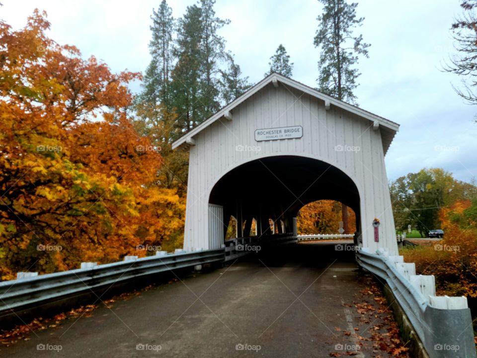 covered bridge