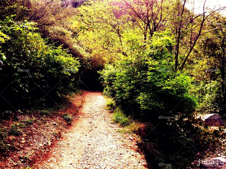 green mountains hiking trekking by junaidali