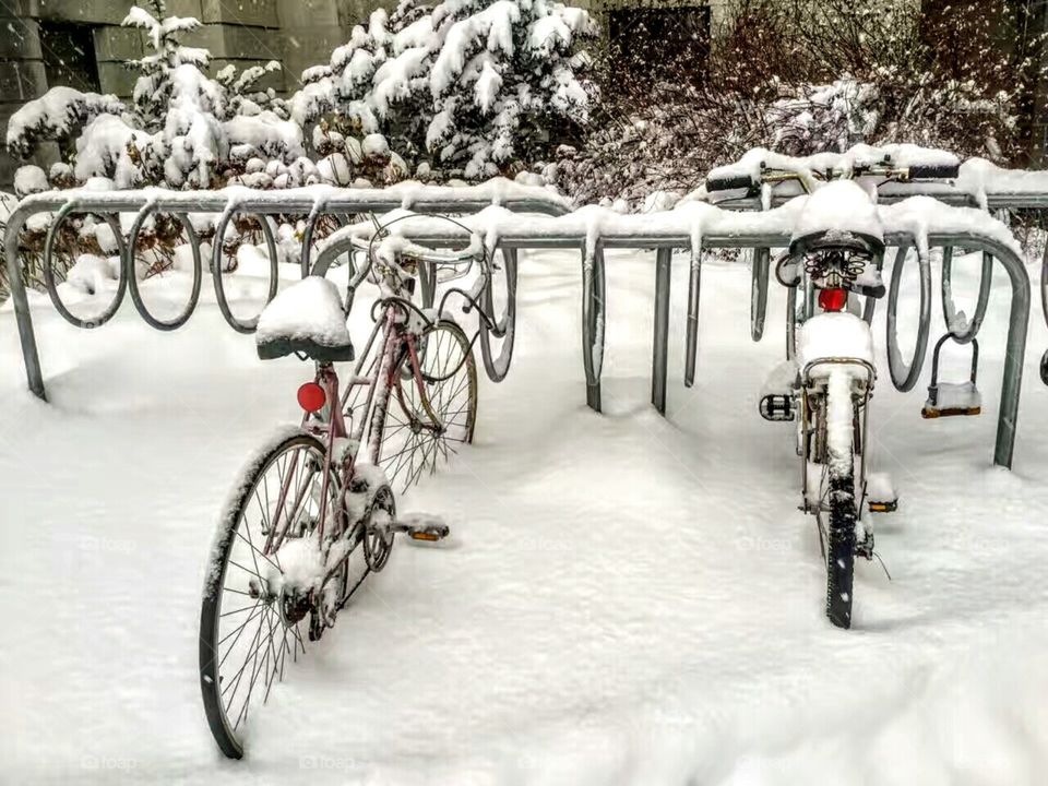 Bikes in the Winter