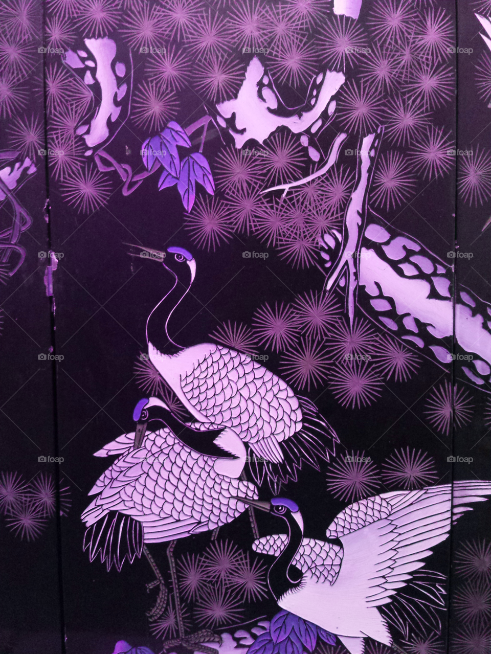 Purple Cranes