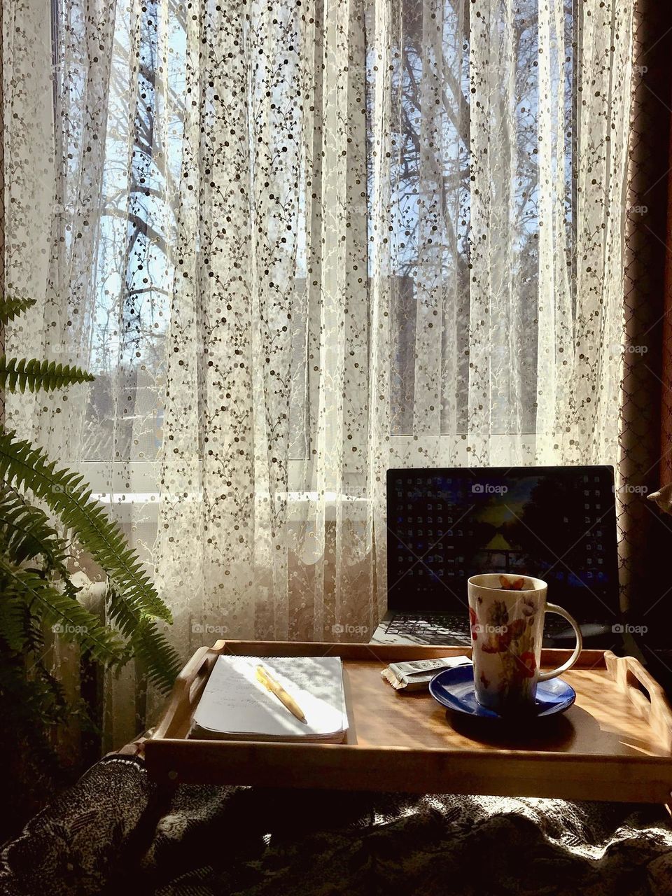 Working process 👩‍💻