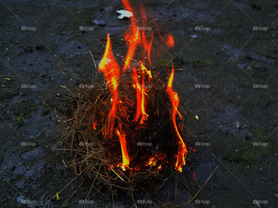 abstract photo of fire at night