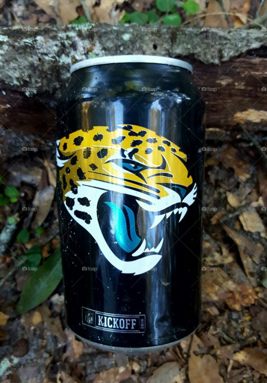 Carolina Panthers and Bud Light