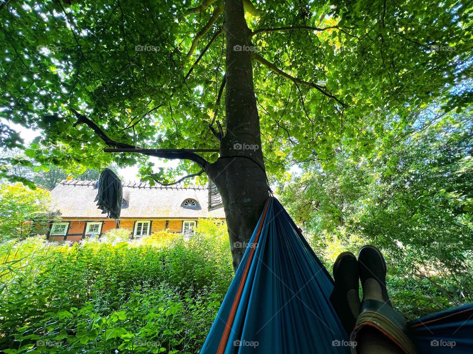 Countryside resting in under the trees after working in the farm