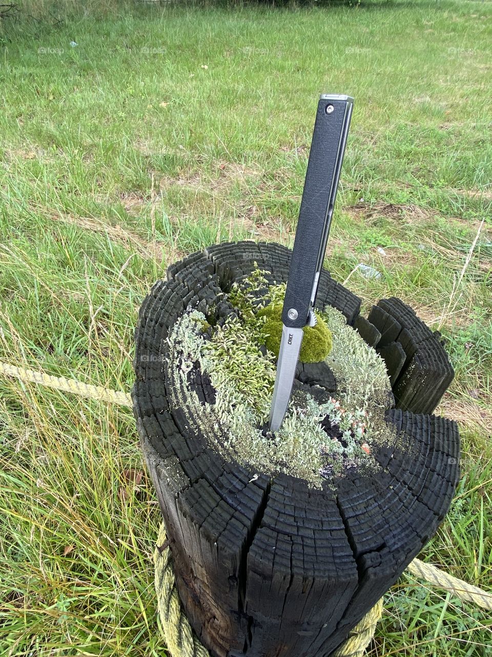 Never go with out a knife 