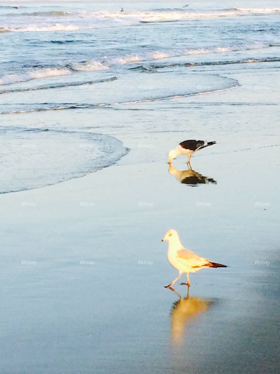 Morning break. Morning break