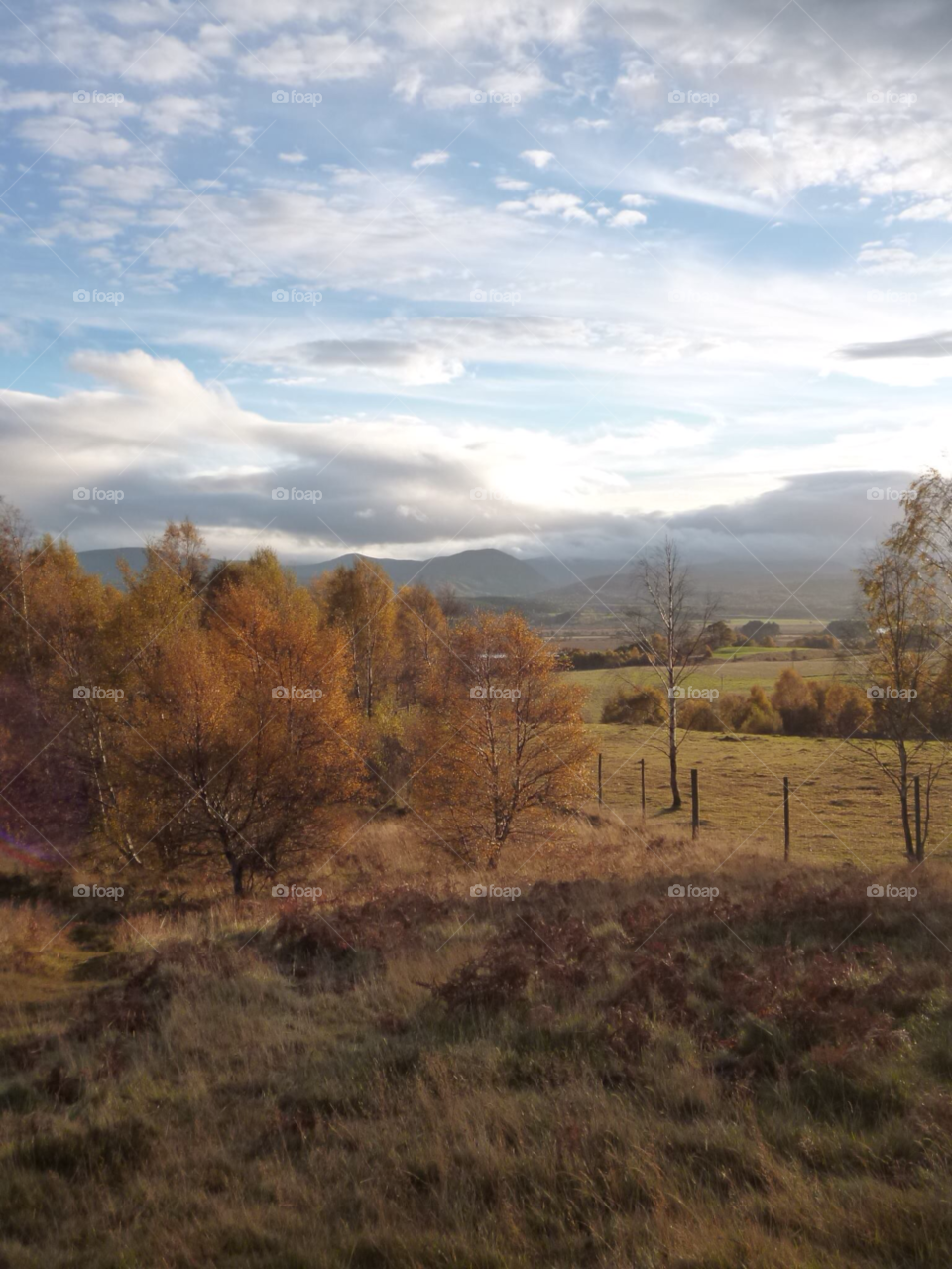 scotland landscape autumn distance by Forest1213