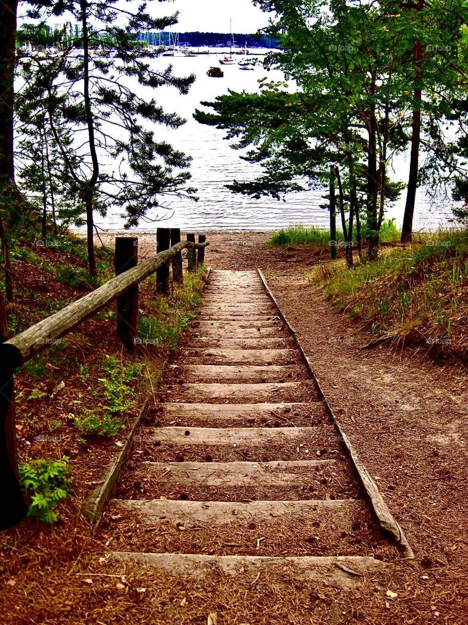 Old log stairs to beach